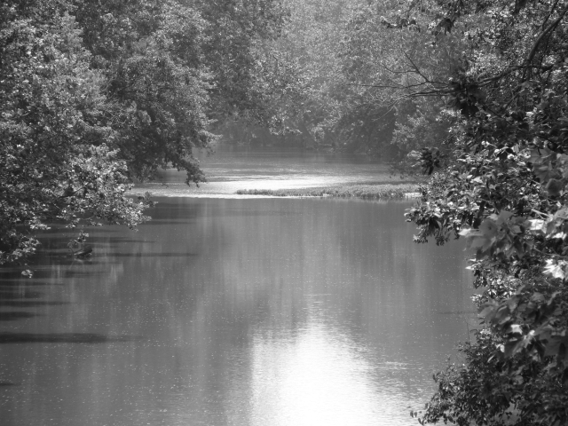 Black and White Photo of a River