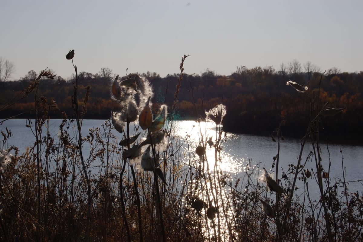 Five Rivers Metro Parks - Old Springfield Lakes