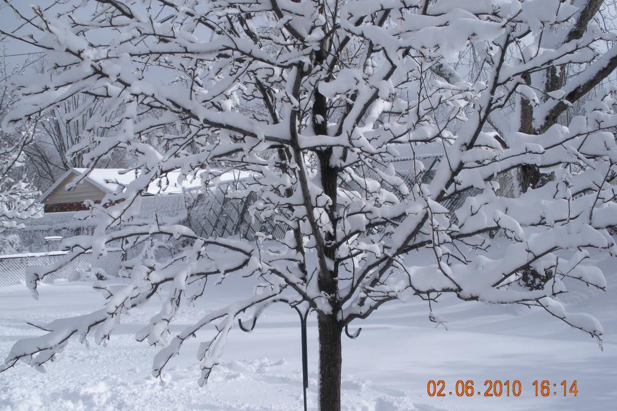 Photo submitted by Darlene Payne, 509 Merrymaid Drive