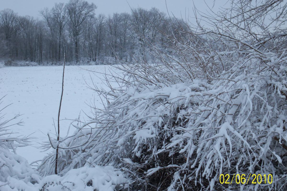Photo submitted by Jody Driver 141 Marrett Farm Road